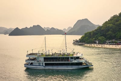 Arcady Premium Cruise (3) Arcady Premium Cruise (3)