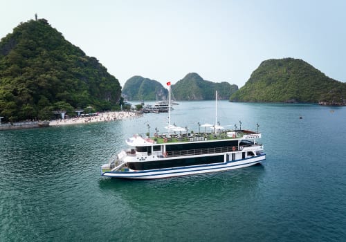 Arcady Premium Cruise (5)